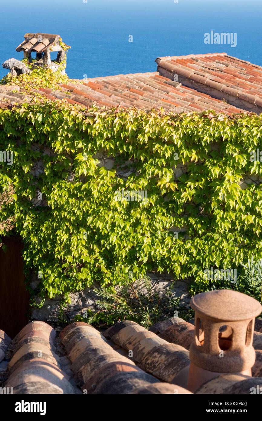 Passeggiata nel giardino botanico nel villaggio di Eze, sulla Costa Azzurra. Il più giovane giardino botanico alpino di Eze, Francia Foto Stock