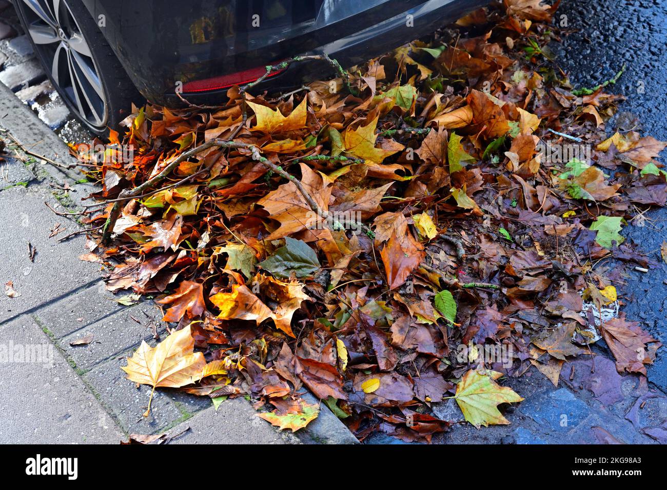 Caduta, autunno caduta foglie lavate lungo grondaia stradale per essere bloccato da ruota auto. Le foglie non sono state spazzate verso l'alto, bloccando la grondaia Foto Stock