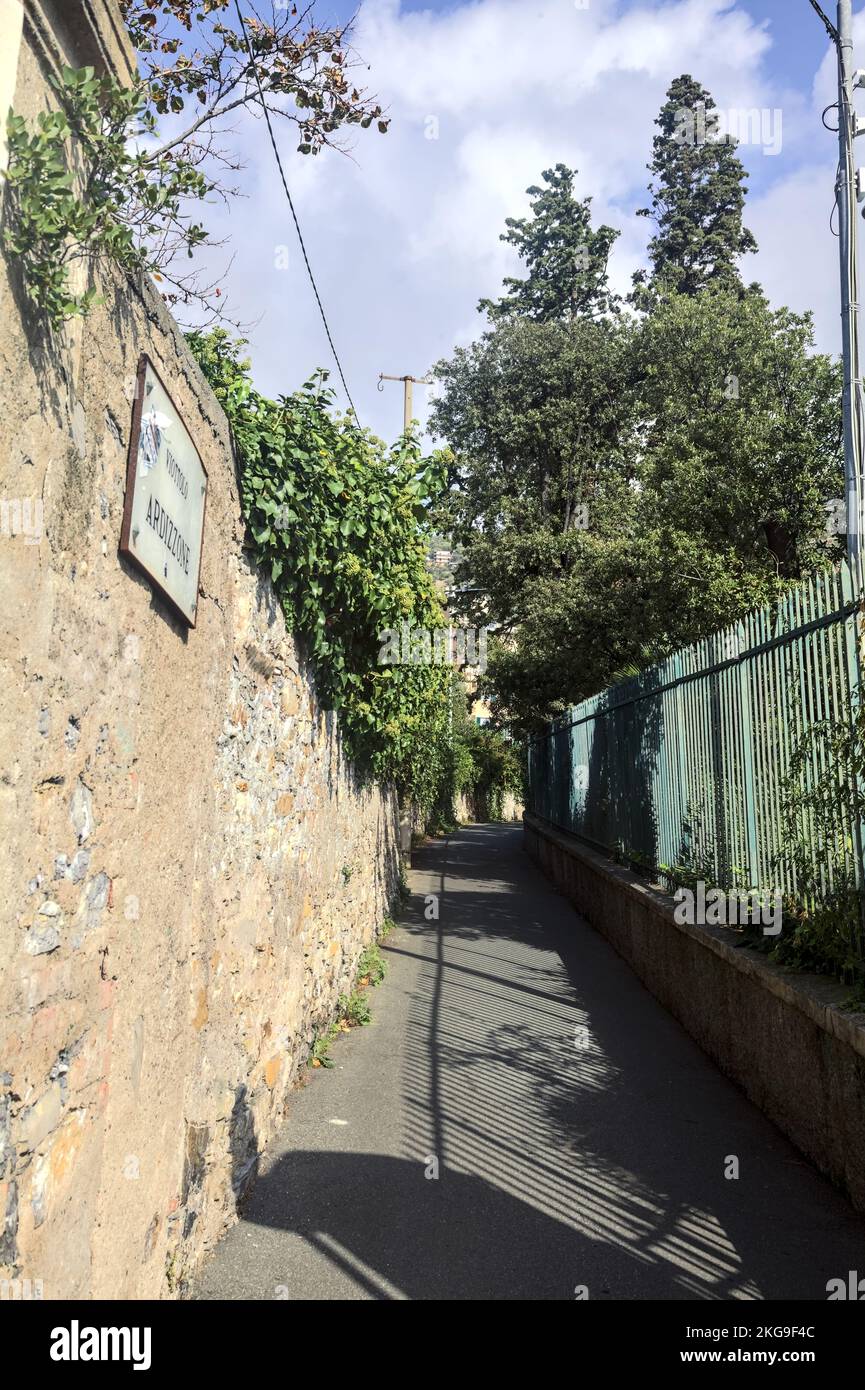 Strada stretta delimitata da un muro di pietra e una recinzione con piante su entrambi i lati Foto Stock