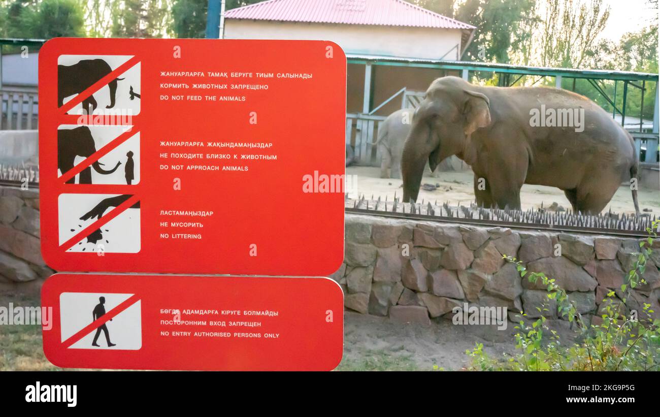 Cartello che proibisce l'avvicinamento e l'alimentazione degli animali allo zoo di Alamaty, Kazakhstan. Non dare da mangiare agli animali segno, non avvicinarsi segno animale. Elefante nello zoo Foto Stock