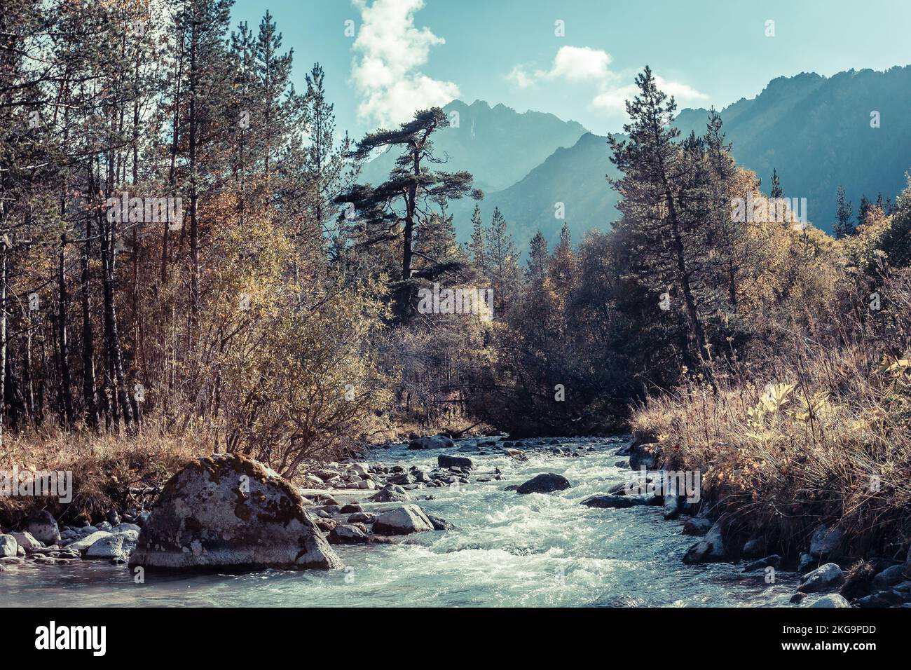 Fiume rapido nelle montagne autunnali del Caucaso Foto Stock