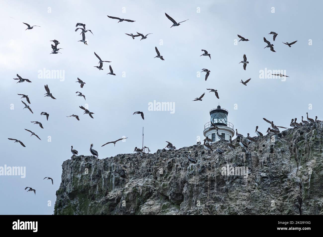 Una vista del faro di Anacap Island nelle Isole del canale della California mostra le aspre montagne e i pellicani marroni che abitano l'area. Foto Stock