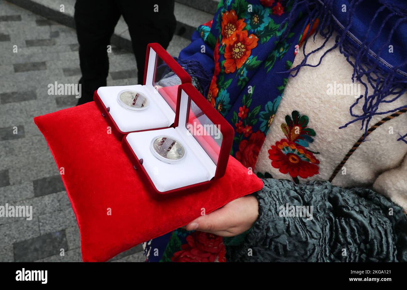 KHARKIV, UCRAINA - 21 NOVEMBRE 2022 - le medaglie commemorative 'Kharkiv - Città degli Eroi' sono raffigurate durante la presentazione del giorno della dignità e della libertà, Kharkiv, Ucraina nord-orientale. Foto Stock