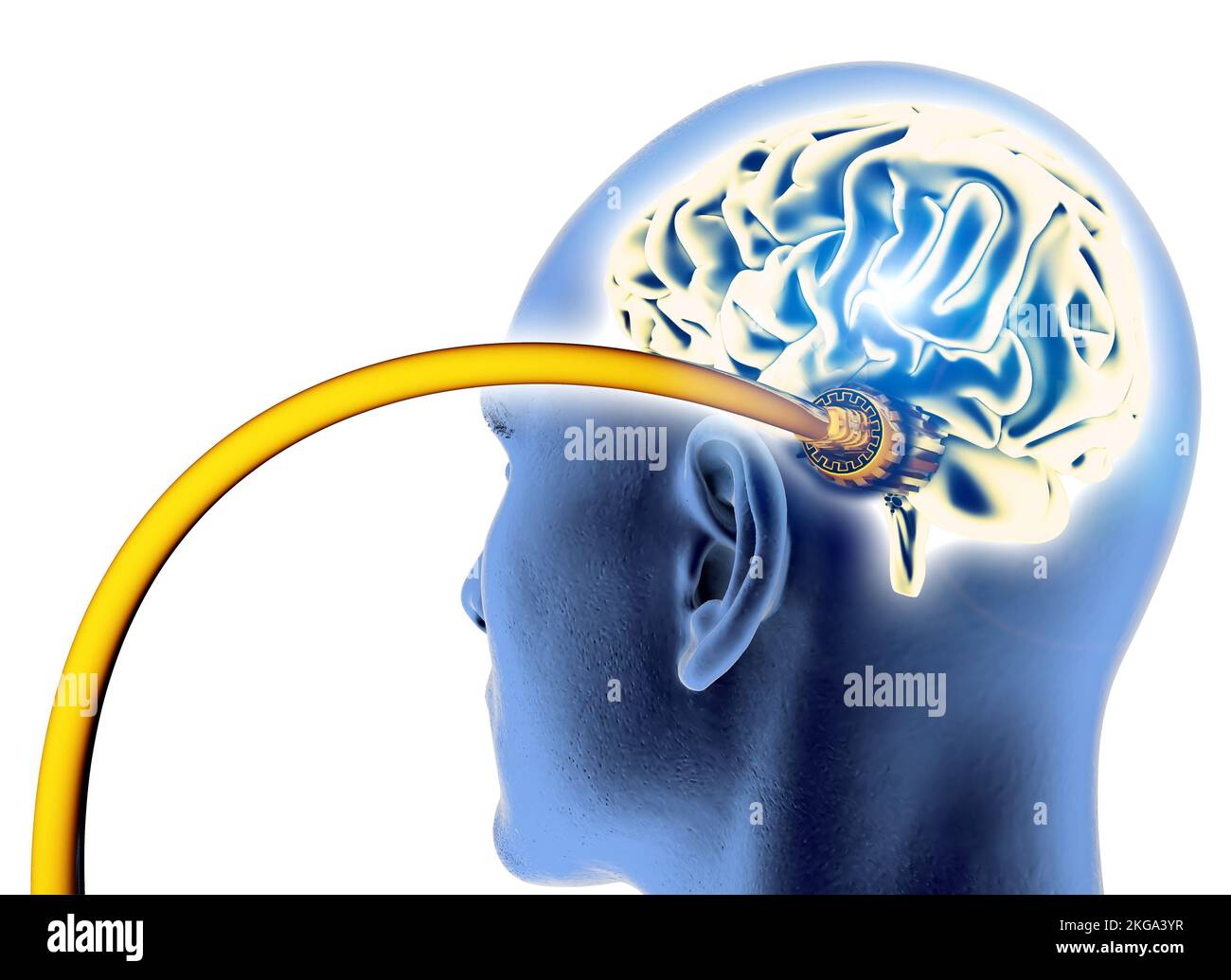 Connessione Internet, intelligenza artificiale, cavo ethernet. Pensieri ed emozioni controllati da internet. Cervello e testa Foto Stock