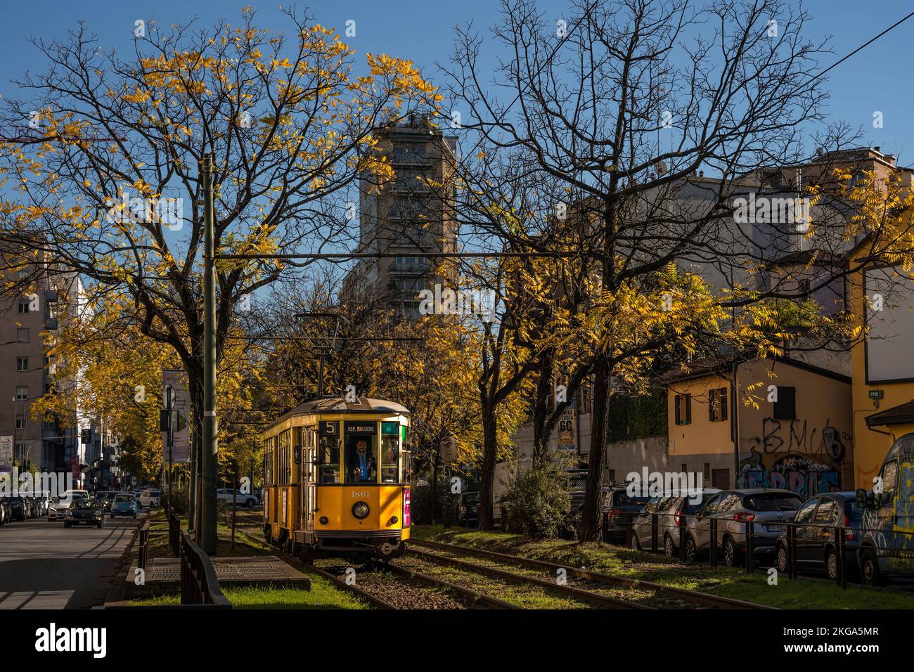 Tram che passa sotto gli alberi, foglie gialle autunnali e fogliame, nel quartiere di porta Venezia, centro di Milano, regione Lombardia, Italia Foto Stock
