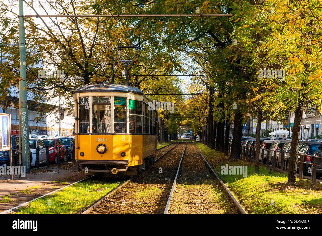 Tram che passa sotto gli alberi, foglie gialle autunnali e fogliame, nel quartiere di porta Venezia, centro di Milano, regione Lombardia, Italia Foto Stock