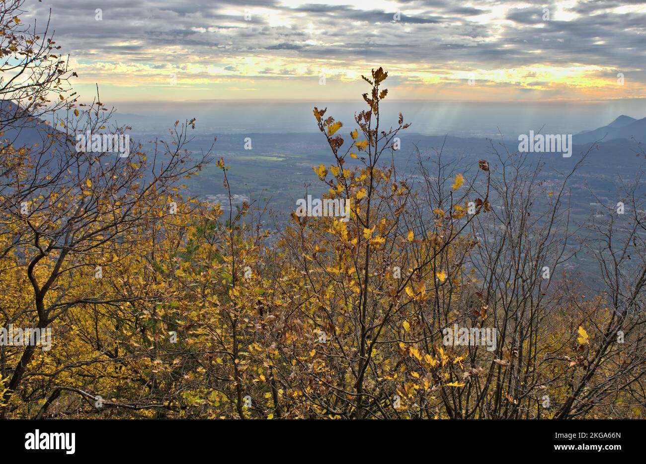 Paesaggio giallo sulla Val di Susa in autunno. Vista dal Sentiero Tramontana Foto Stock