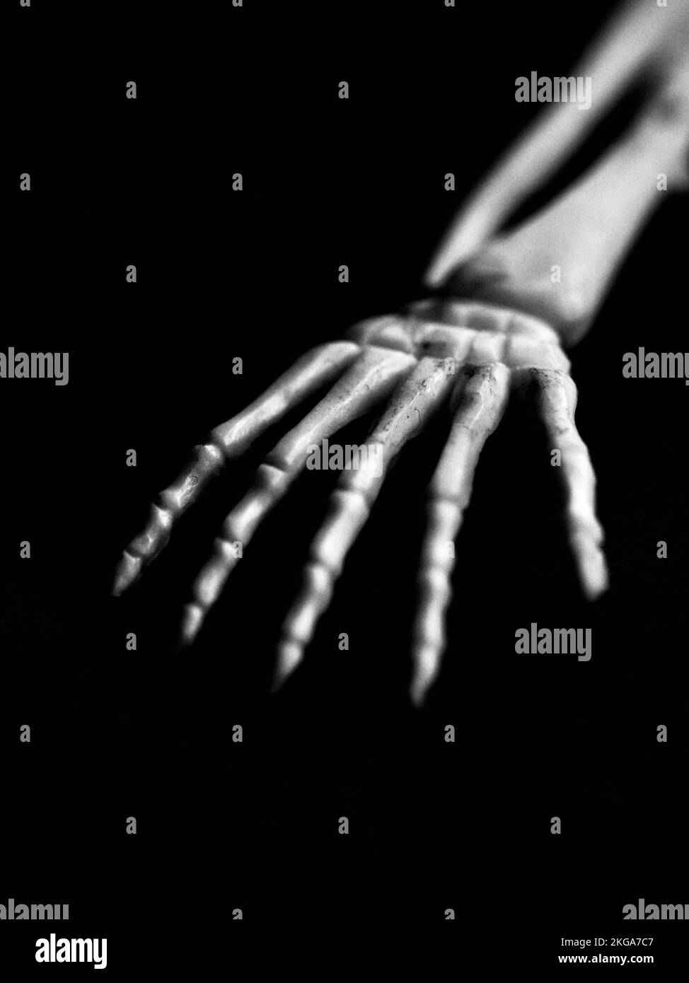 Vista angolata dello scheletro di mano e braccio in bianco e nero Foto Stock