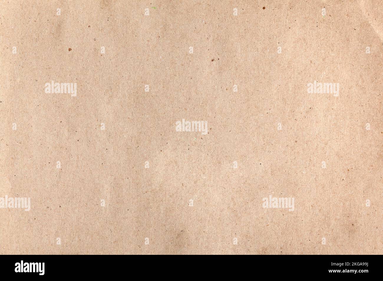 Un foglio vuoto di carta kraft bruna grecata con inclusioni di grana Foto Stock