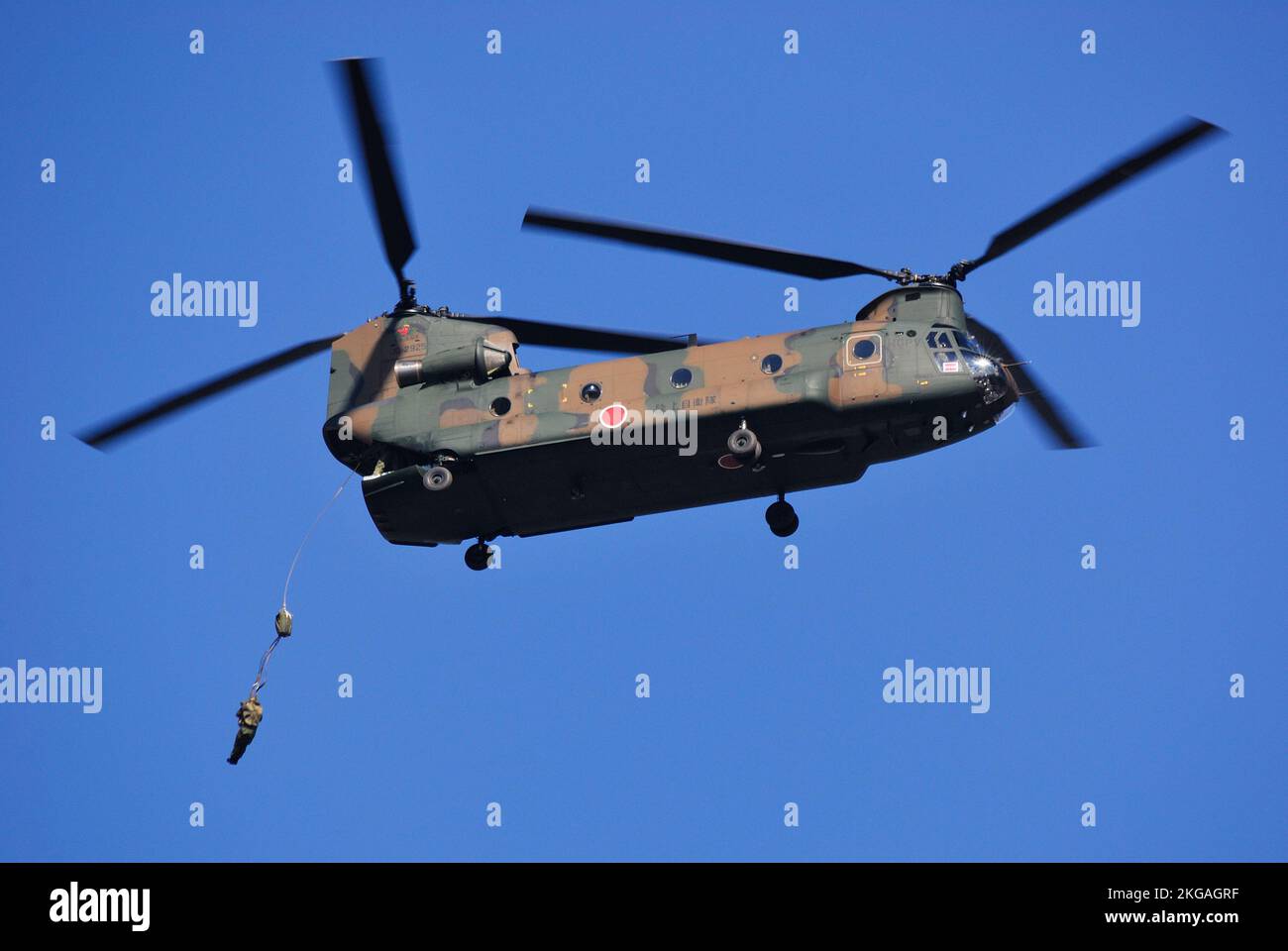 Prefettura di Chiba, Giappone - 10 gennaio 2010: I paracadutisti della forza di autodifesa di terra del Giappone saltano fuori dalla parte posteriore di un elicottero pesante CH-47J Chinook. Foto Stock