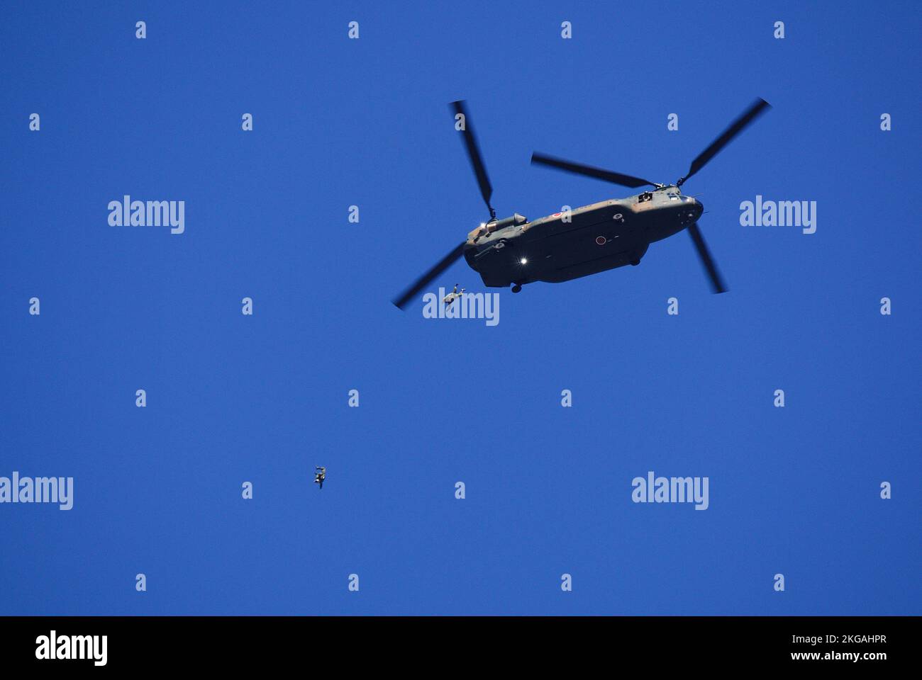 Prefettura di Chiba, Giappone - 10 gennaio 2010: I paracadutisti della forza di autodifesa di terra del Giappone saltano fuori dalla parte posteriore di un elicottero pesante CH-47J Chinook. Foto Stock