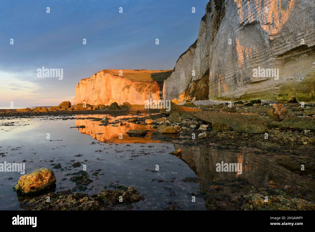 Costa alabastro con scogliere di gesso vicino a Étretat con bassa marea, luce notturna, Vattetot-sur-Mer, la Côte d'Albâtre, Normandia, Dipartimento della Senna Marittima, Foto Stock