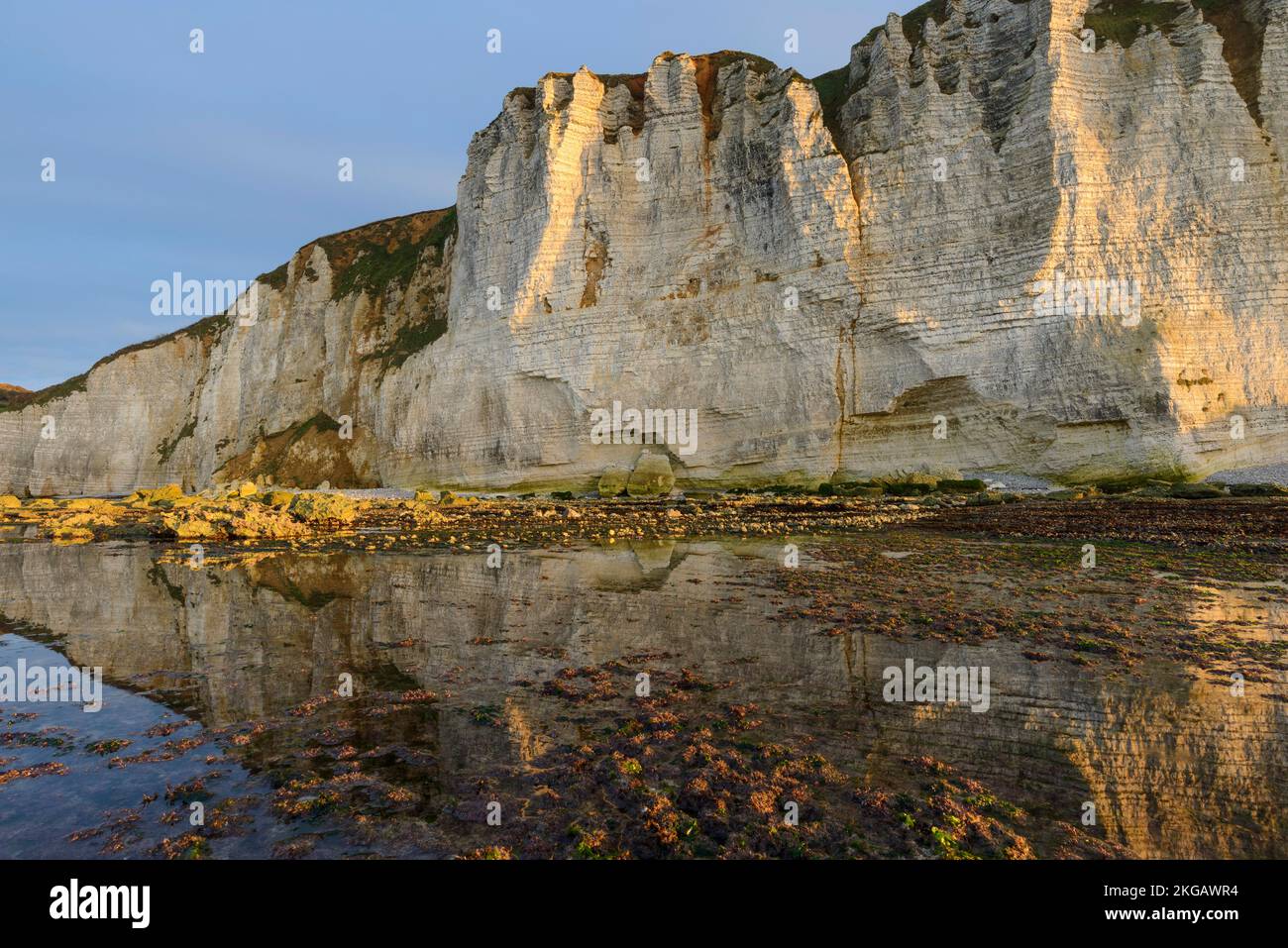 Costa alabastro con scogliere di gesso vicino a Étretat con bassa marea, luce notturna, Vattetot-sur-Mer, la Côte d'Albâtre, Normandia, Dipartimento della Senna Marittima, Foto Stock