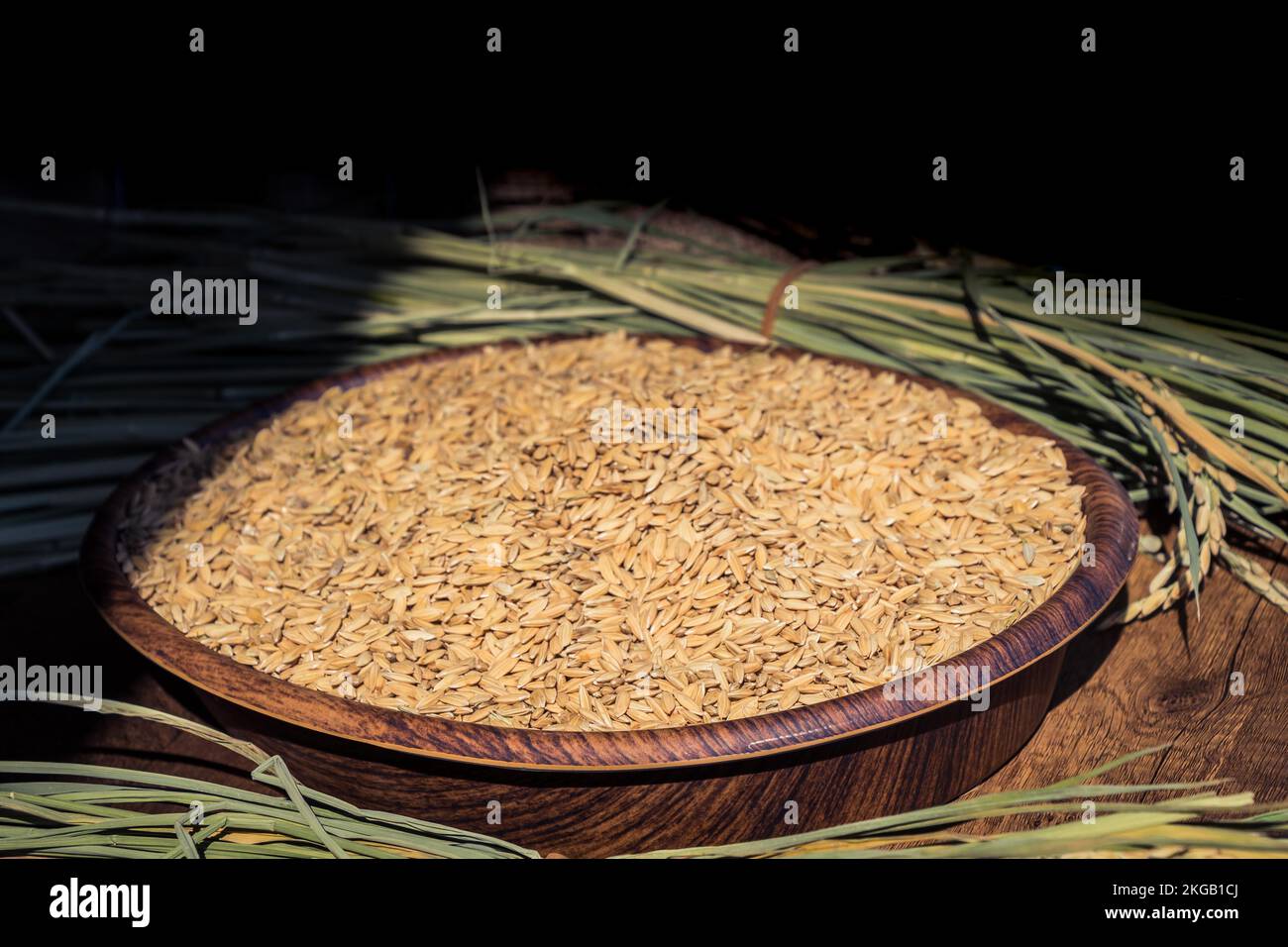 Giallo chicchi d'orzo nel vassoio di legno nella vista Foto Stock