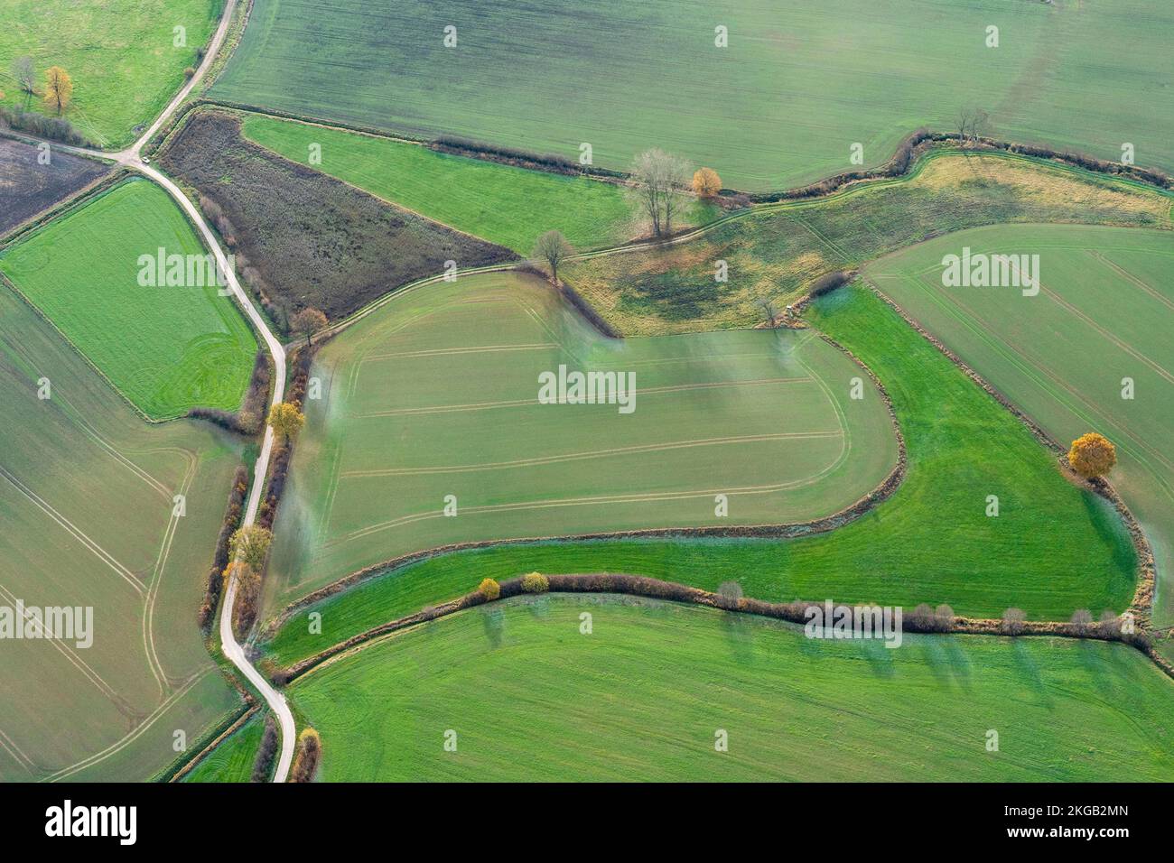 Un campo come un cuore in autunno, fotografia aerea, agricoltura, campo, simbolo, Schleswig-Holstein Foto Stock