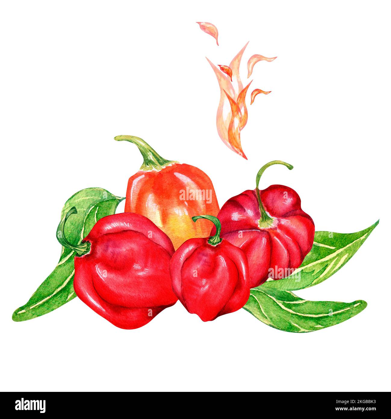 Composizione dell'acquerello al peperone rosso habanero illustrazione isolata su bianco. Peperoncino messicano, fiammato a mano. Design per l'imballaggio, menu, mercato, Foto Stock