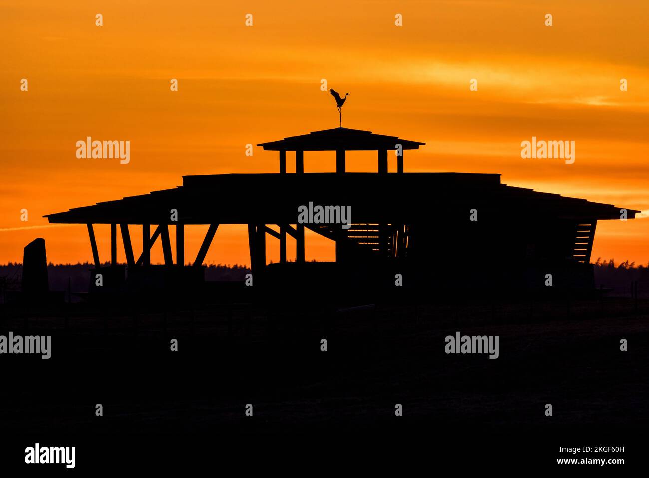Vista su una torre di uccelli al lago hornborga in Svezia Foto Stock