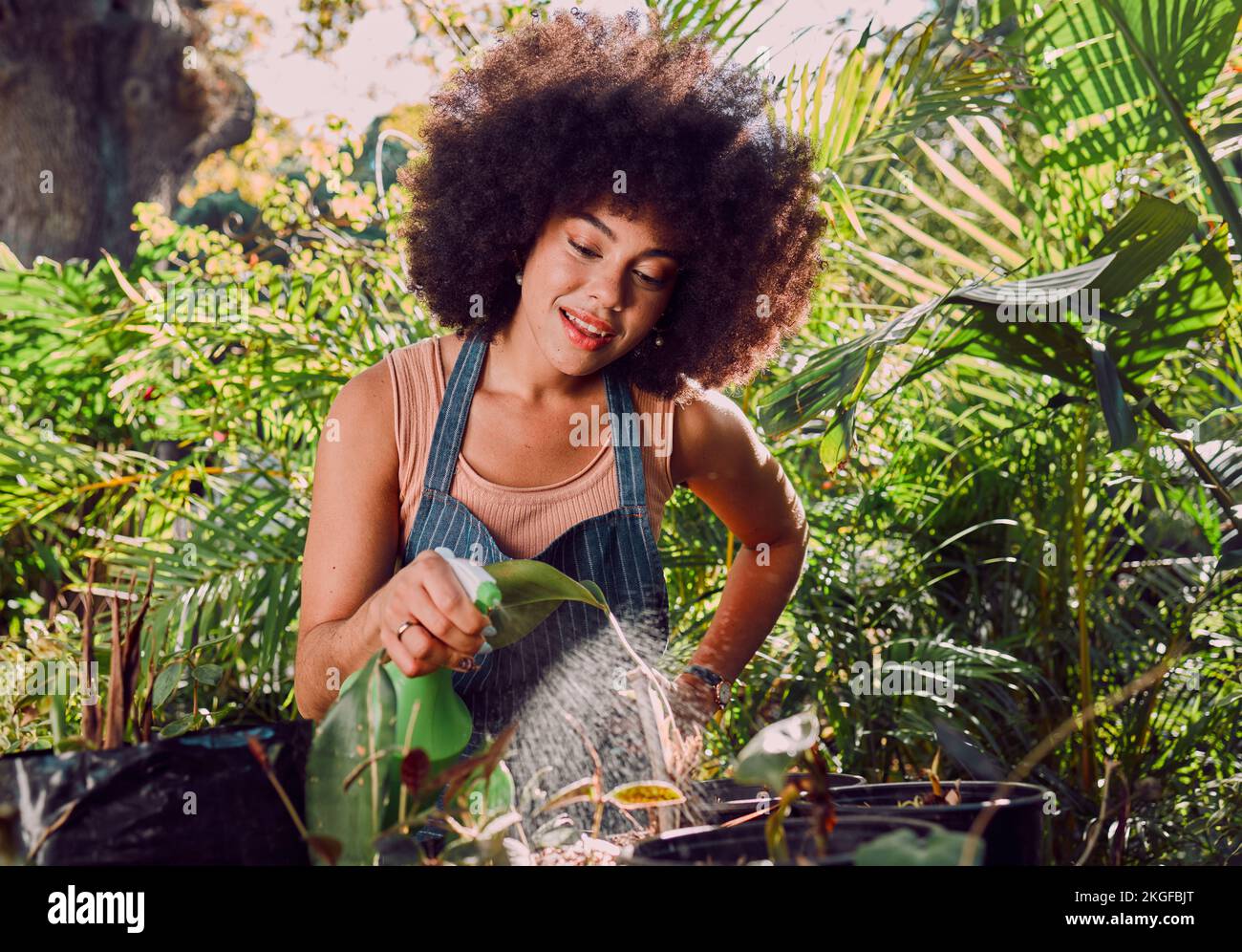 Donna nera, bottiglia d'acqua e spray per piante, giardino e fiori ecologici all'aperto. Agricoltura, sostenibilità o femmina afro-americana Foto Stock