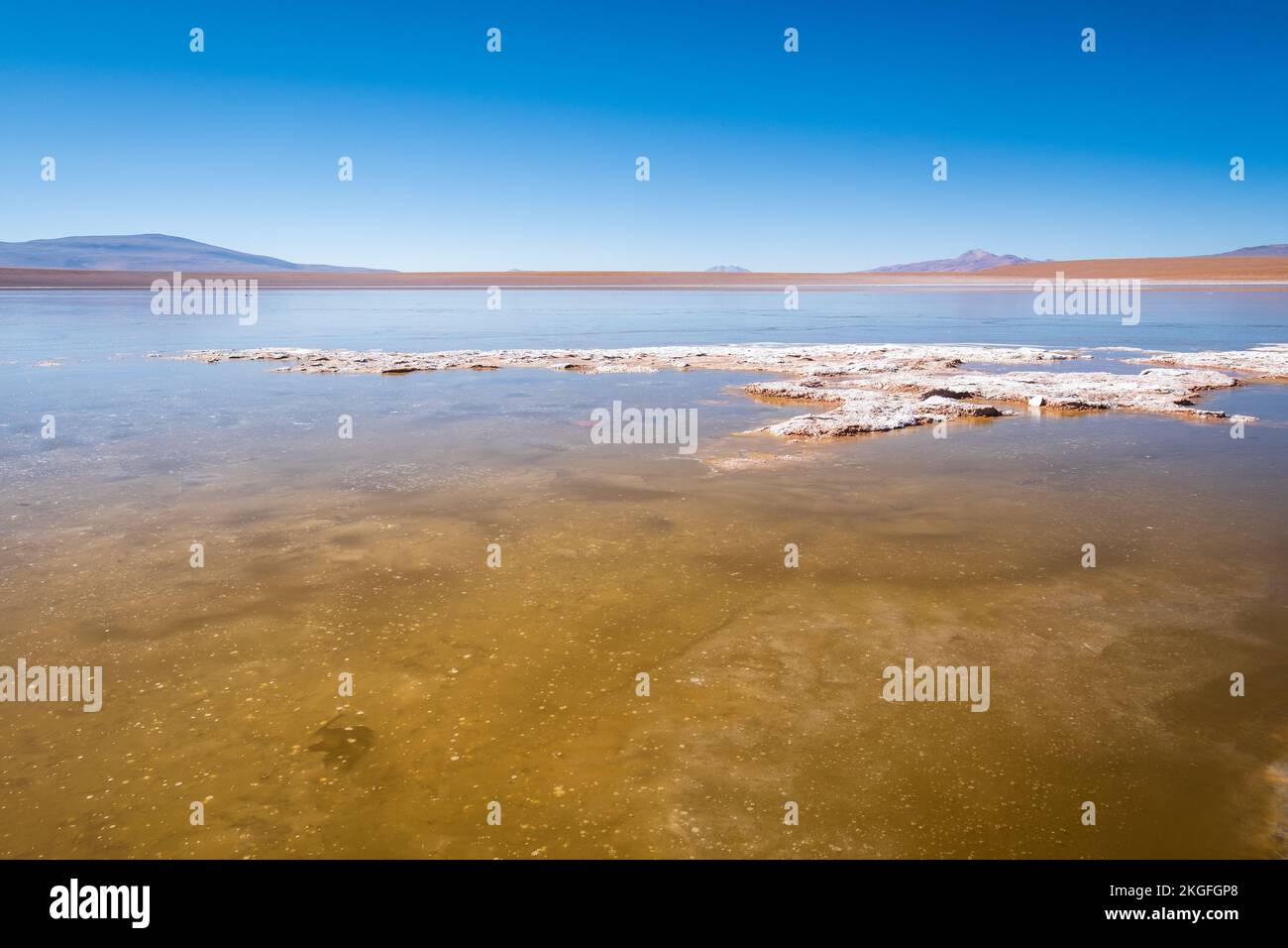 Vista panoramica della Laguna Hedionda sull'Altiplano (alta pianura), Provincia di sur Lípez, Bolivia Foto Stock