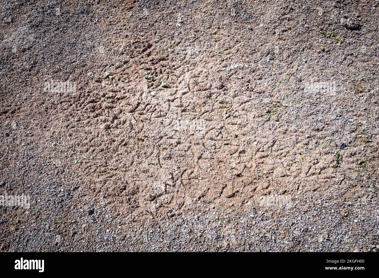 Molte impronte di fenicotteri si possono vedere sulla riva delle lagune in tutta l'Altiplano (alta pianura), provincia di sur Lípez, Bolivia Foto Stock