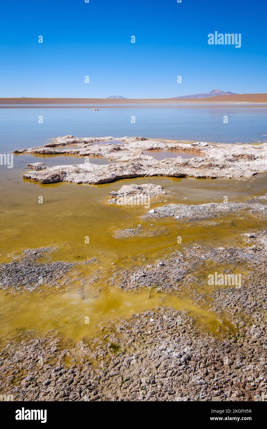 Vista panoramica della Laguna Hedionda sull'Altiplano (alta pianura), Provincia di sur Lípez, Bolivia Foto Stock