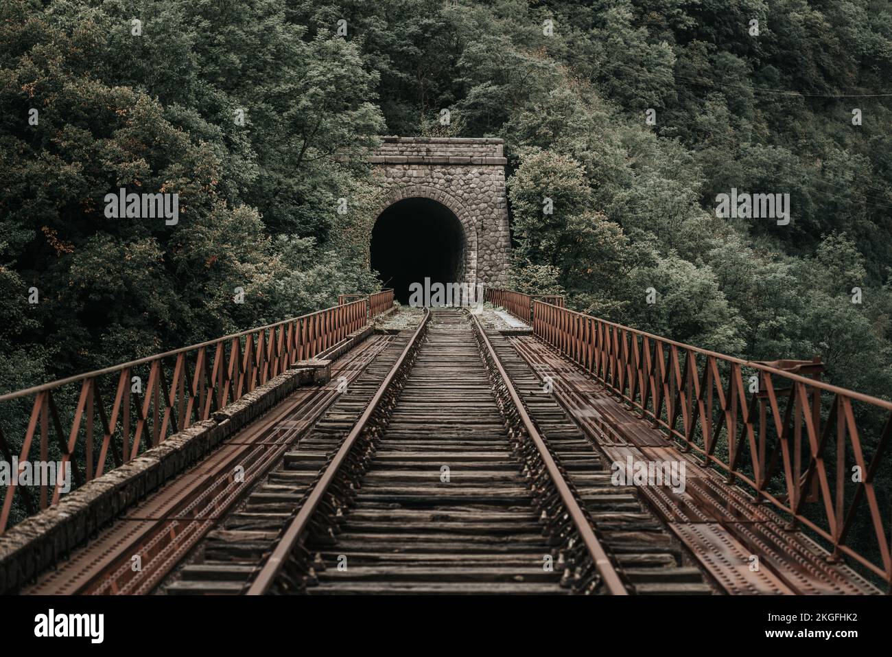 I binari arrugginiti conducono in un tunnel buio in un paesaggio desaturato Foto Stock