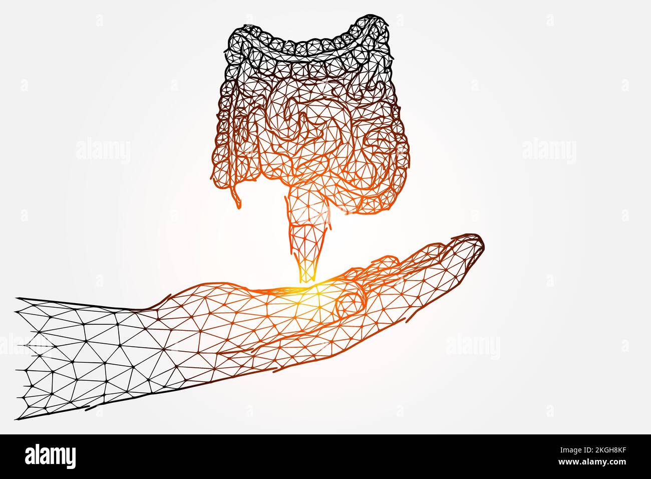 Illustrazione vettoriale poligonale di una mano con un intestino umano. Donatore di trapianto intestinale. Illustrazione Vettoriale