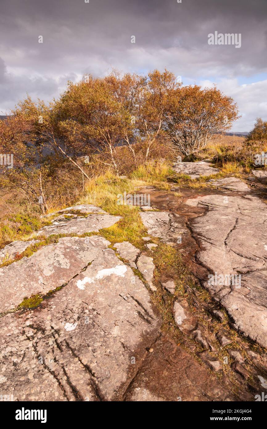 Little Loch Torridon negli altopiani della Scozia nord-occidentale Foto Stock