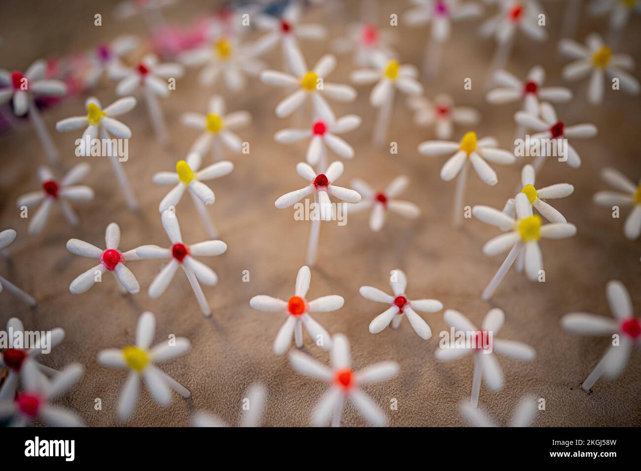 Dettaglio di un fiore fatto di boccioli di cotone, che fa parte di un'installazione di fiori creati dalla caregatrice Carina Andrews in occasione della Giornata dei diritti di Carers il 24 novembre, presso il centro commerciale Galleries di Broadmead, Bristol. Il pezzo utilizza 40.138 fiori di carta, ognuno dei quali rappresenta un accompagnatore non retribuito nella zona di Bristol, con i fiori realizzati da accompagnatori e volontari nel corso del 2022 e copre un mock up del salotto del genitore di Carina. Data immagine: Mercoledì 23 novembre 2022. Foto Stock