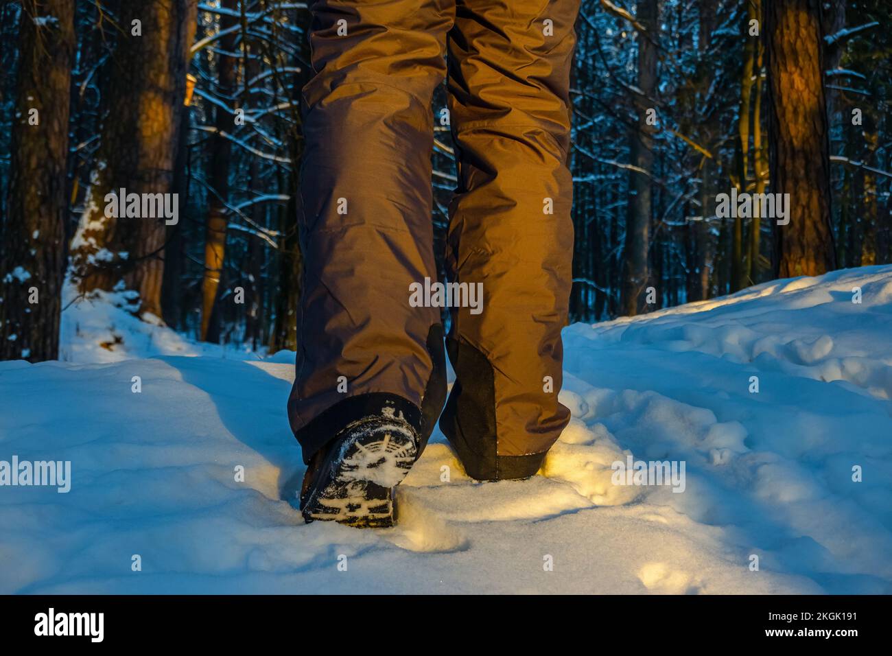 Primo piano di scarpe da escursionista che camminano sulla neve nella foresta. Esplorare i boschi in inverno. Foto Stock