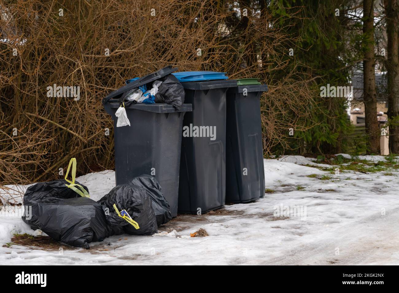 Cestino pieno di rifiuti su neve bianca in zona residenziale in inverno. Foto Stock