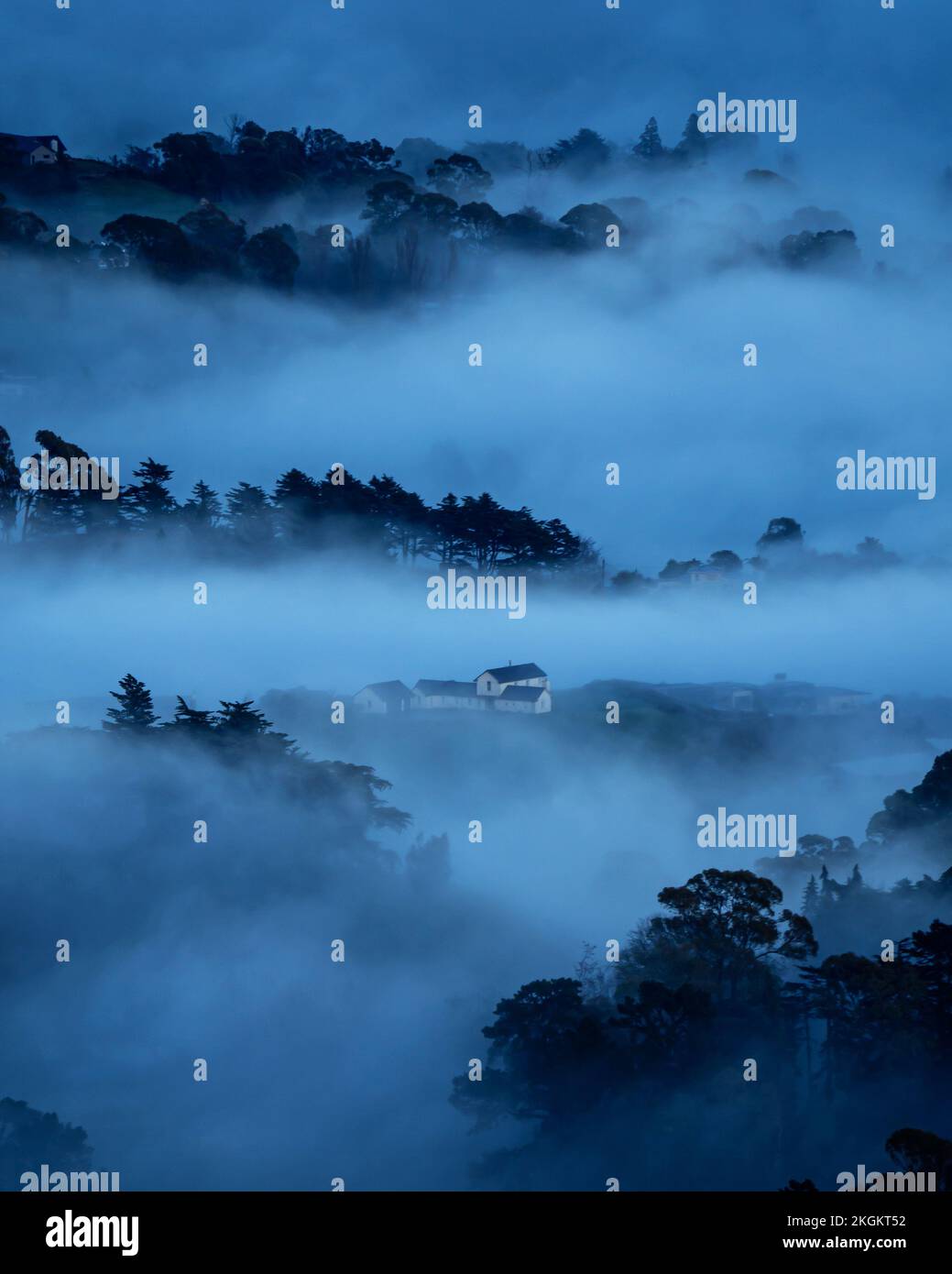 Paesaggi strati di Misty Morning Scene - Haverlock Nord, Nuova Zelanda Foto Stock