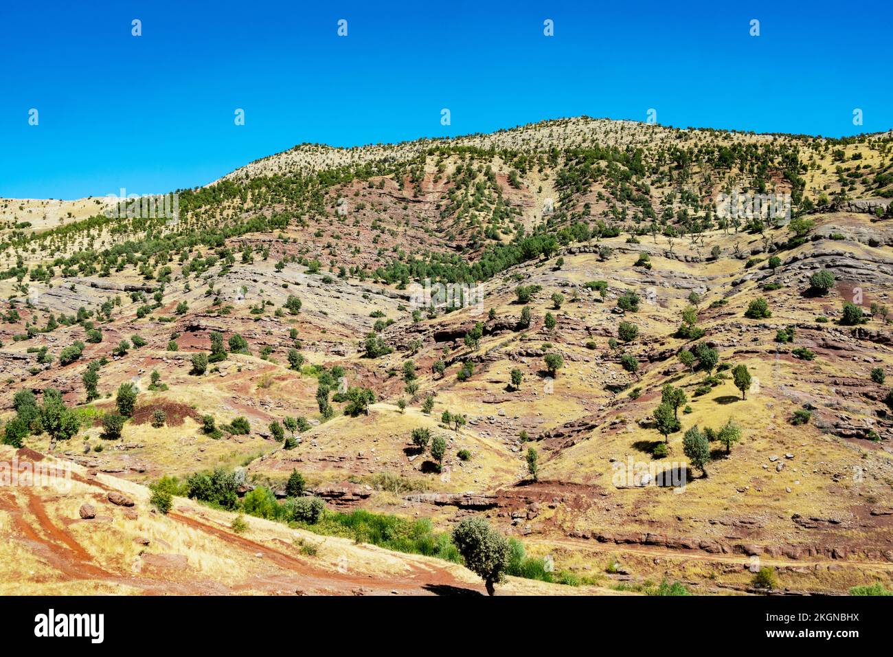 Asien, Türkei, Landschaft an der Strasse von Sirnak nach Siirt Foto Stock