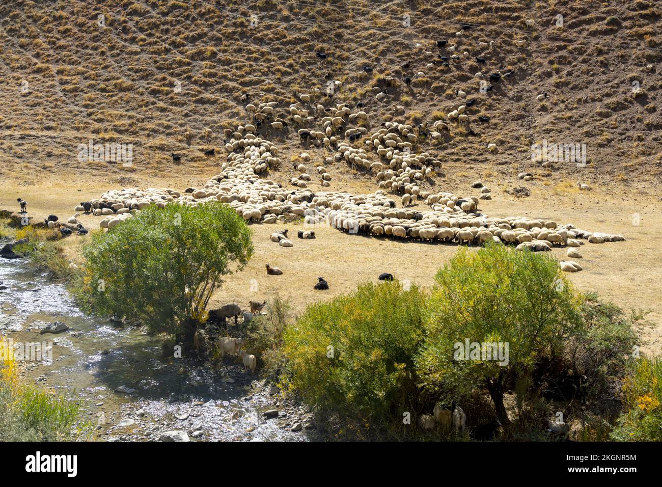 Asien, Türkei, Provinz Van, südlich von Gürpinar Foto Stock