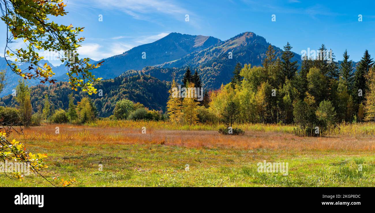 Germania, Baviera, Vista panoramica della brughiera alpina in autunno Foto Stock