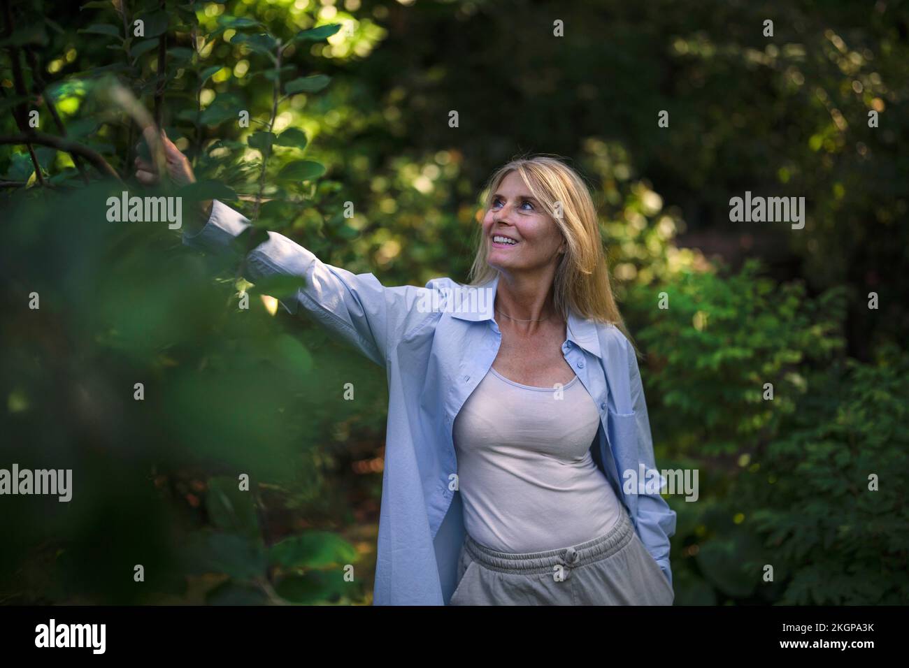 Donna matura che tocca la pianta in giardino Foto Stock