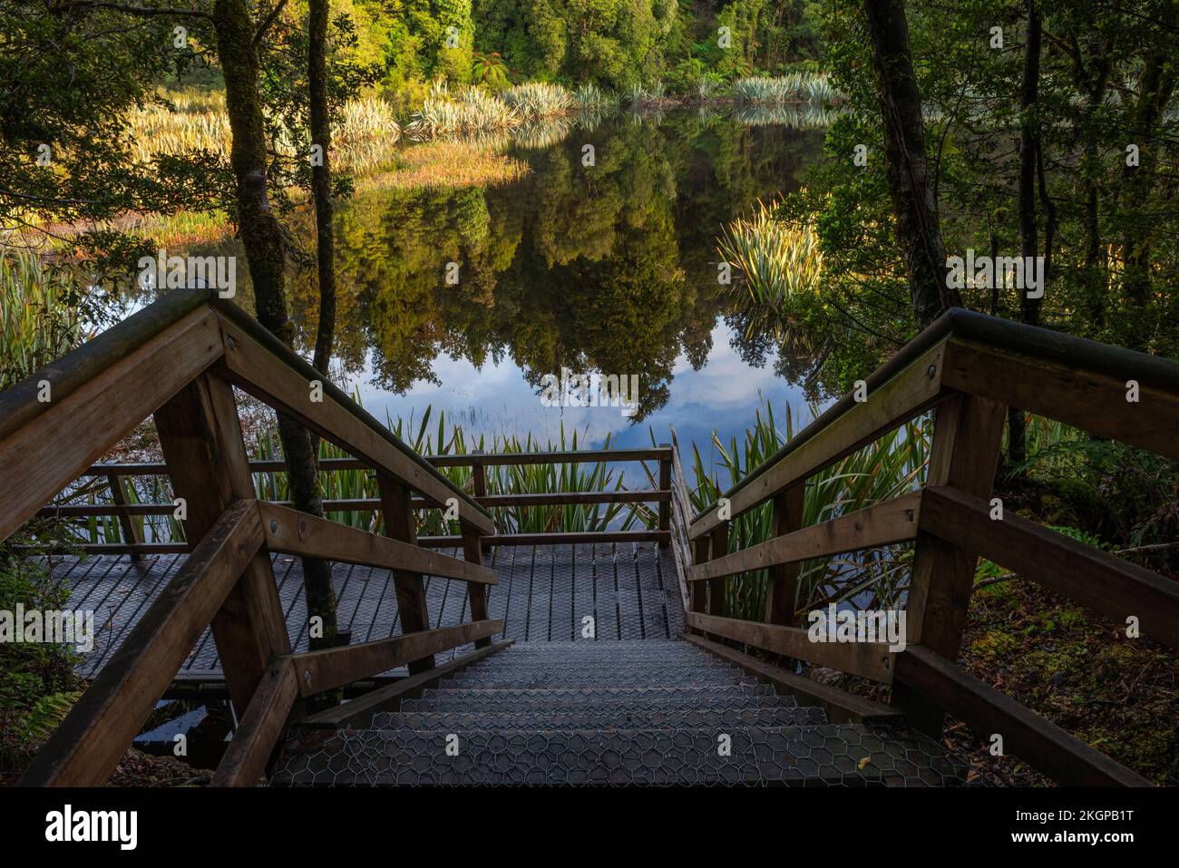 Nuova Zelanda, West Coast Region, passeggiata sul lago Matheson Foto Stock