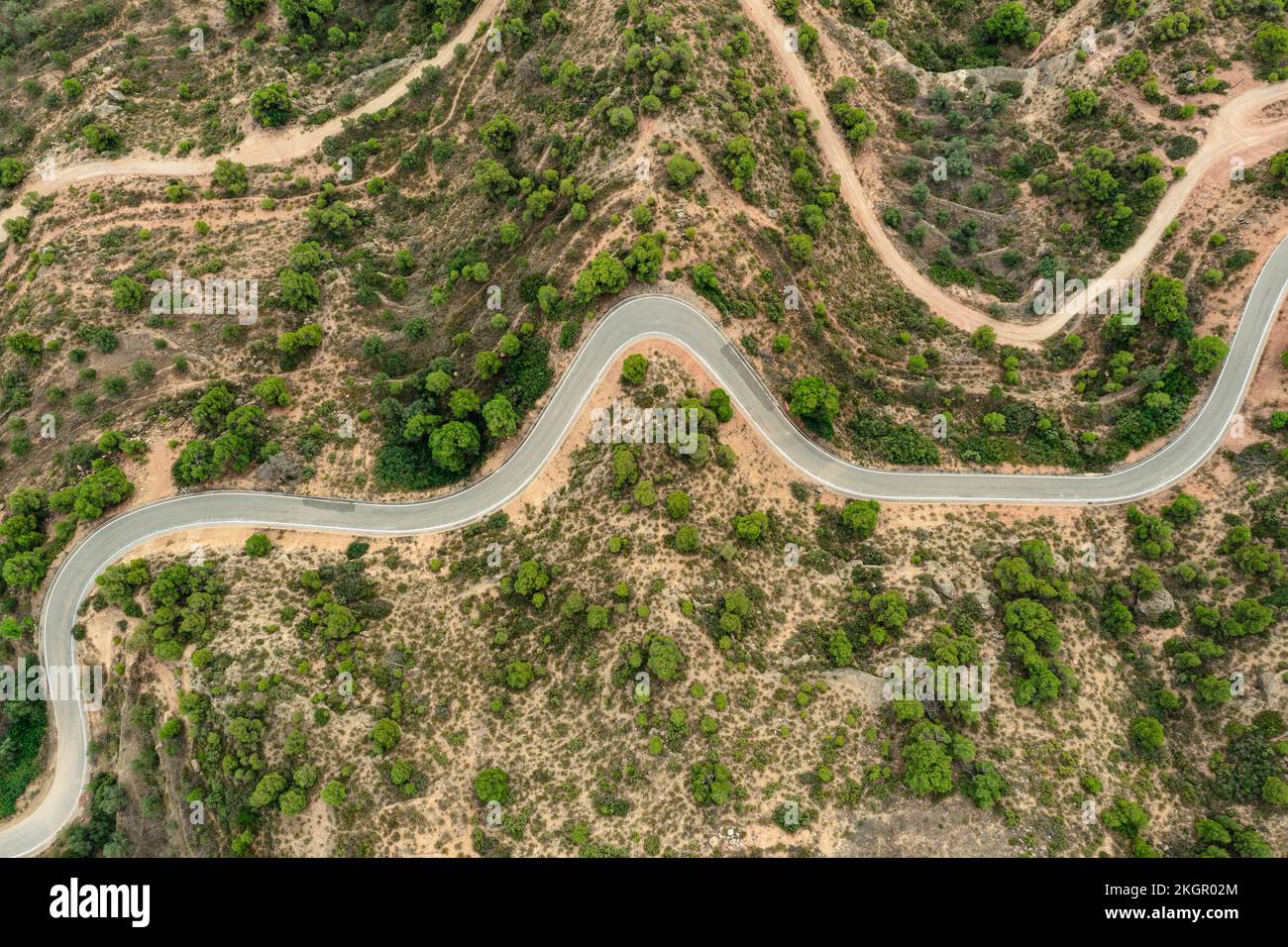 Spagna, Catalogna, Les Garrigues, veduta aerea della strada tortuosa di campagna Foto Stock