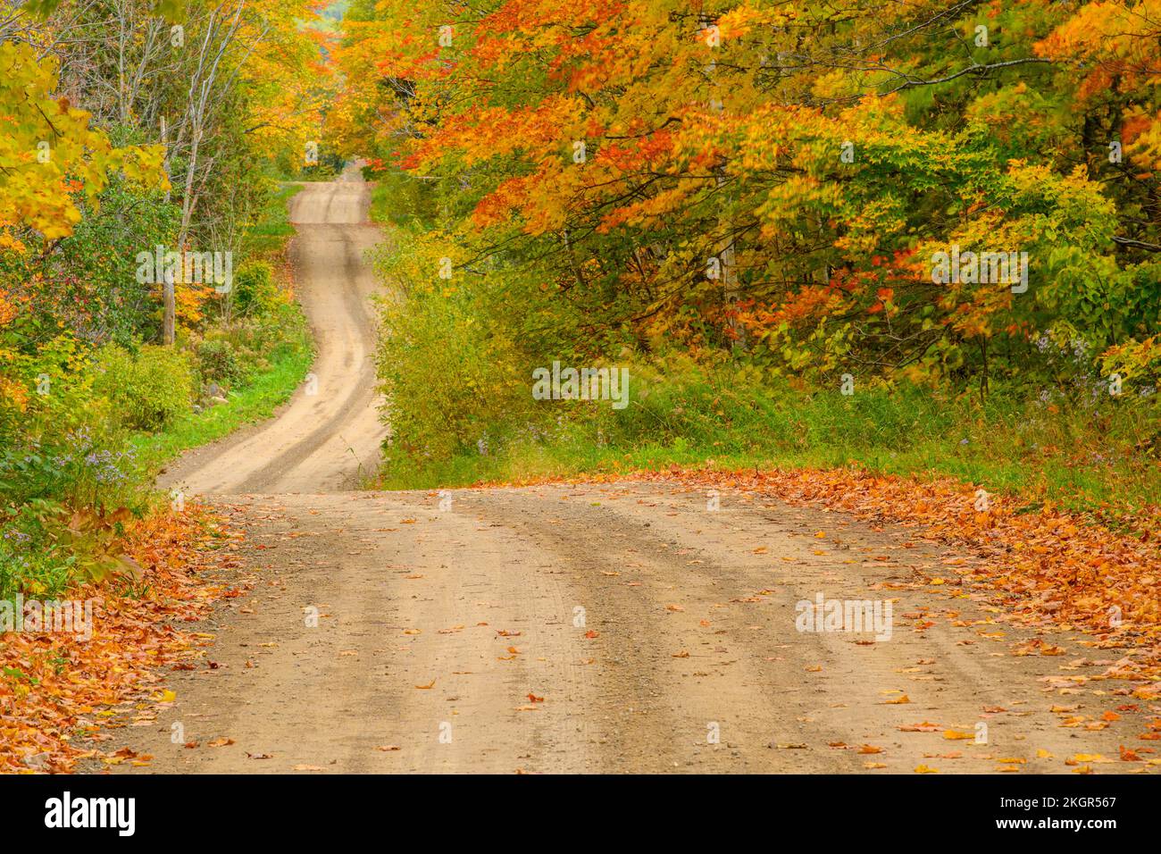 Burnett's Sideroad in autunno, Sheguiandah, Manitoulin Island, Ontario, Canada Foto Stock