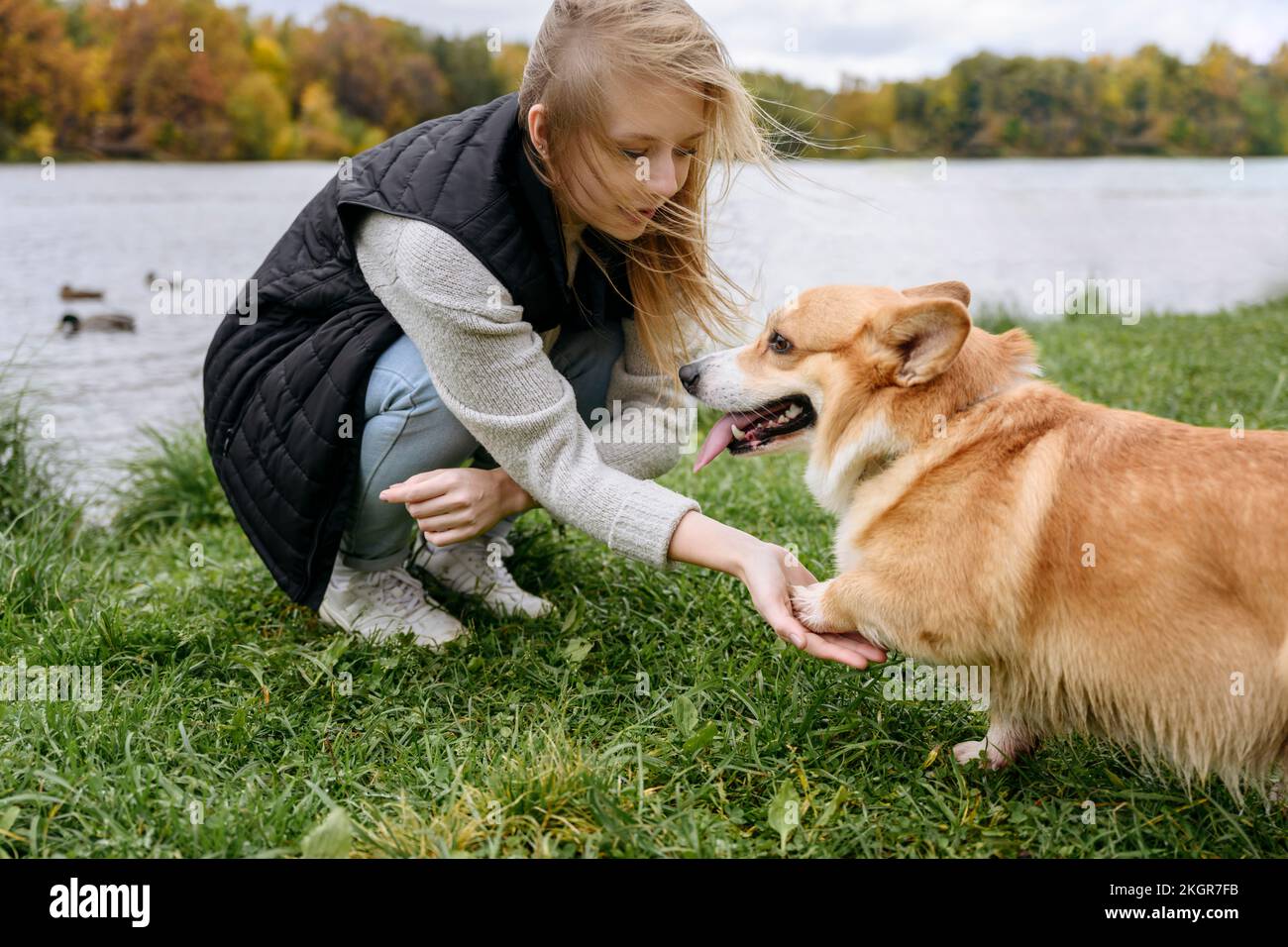 Donna che fa stretta di mano con il cane su erba a lago Foto Stock