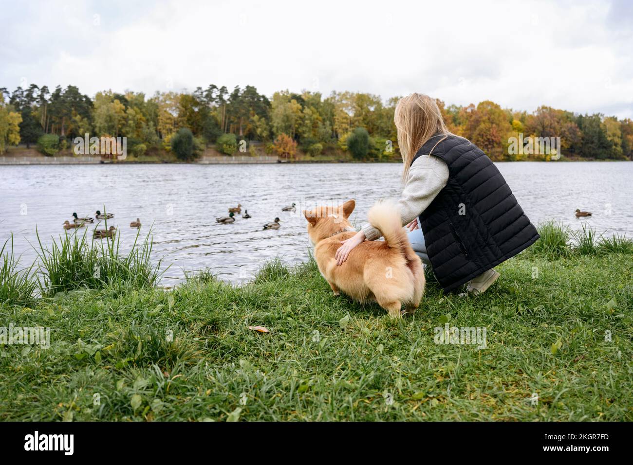Donna e cane sull'erba guardando le anatre che nuotano nel lago Foto Stock