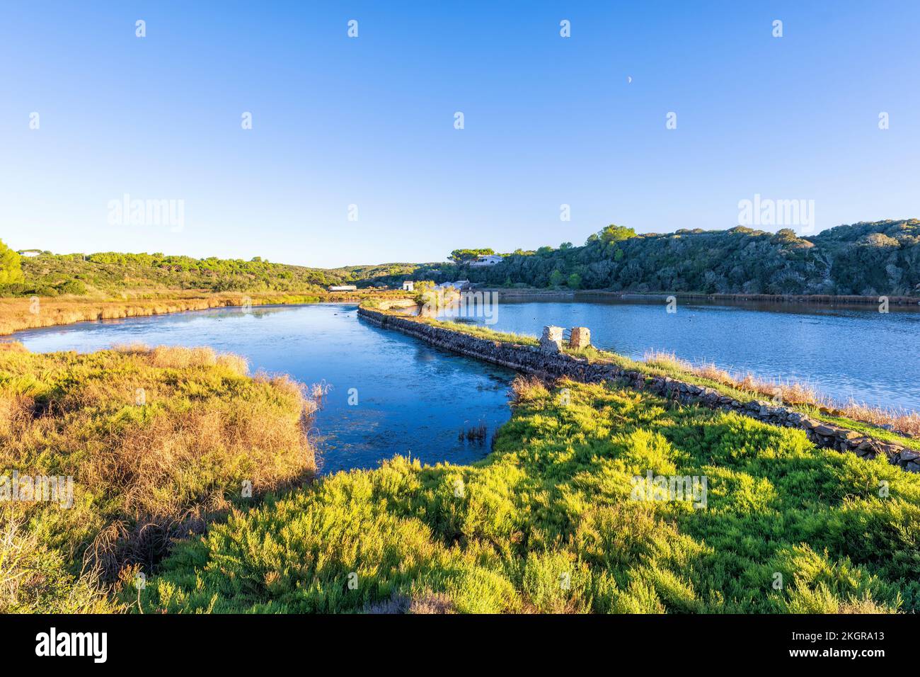 Spagna, Isole Baleari, Minorca, Parco Naturale S'Albufera Foto Stock