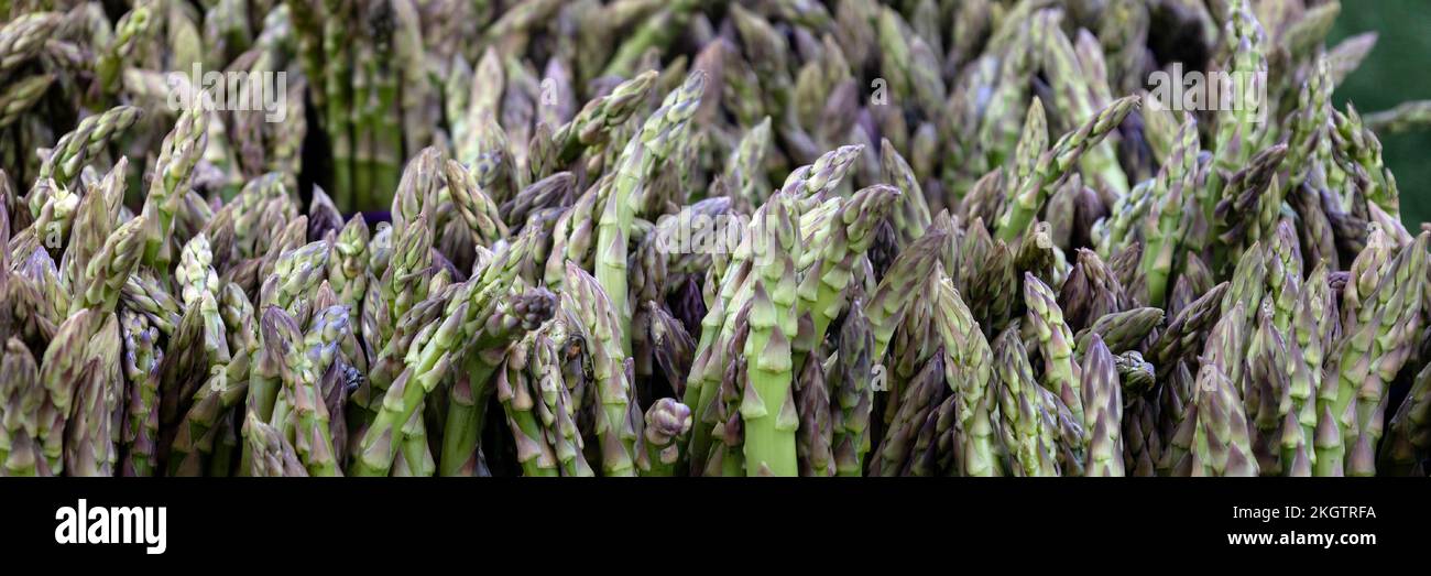 Panorama di Asparagi freschi crudi taglio su una stalla di un fruttivendolo in un mercato alimentare Foto Stock