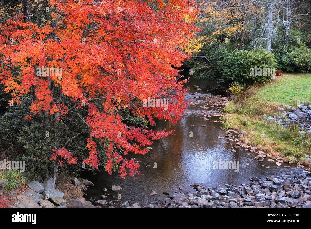 Scena autunnale di un piccolo ruscello sotto la diga di Price Lake lungo la Blue Ridge Parkway nel North Carolina Foto Stock