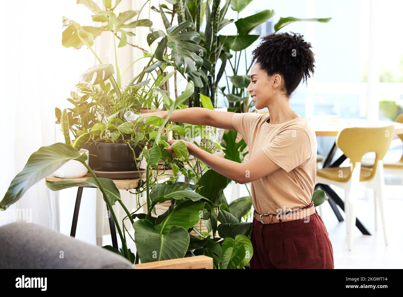 Impianti, ufficio e donna d'affari con eco-friendly, verde e di crescita per il benessere sul posto di lavoro, stile di vita sostenibile o salute mentale. Avvio Foto Stock