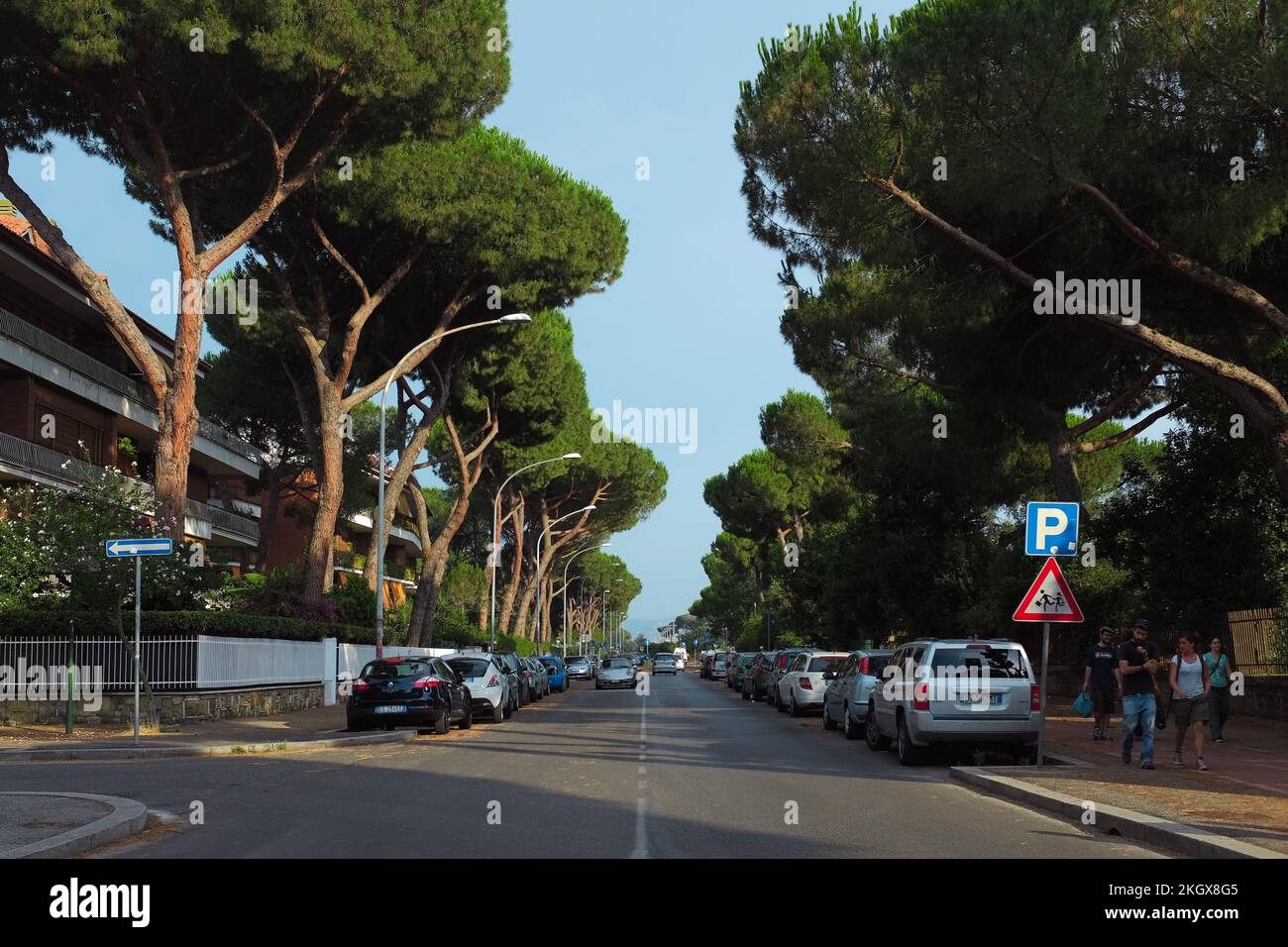 Strada fiancheggiata da auto parcheggiate e alti pini italiani fuori dal Parco degli Acquedotti, un parco pubblico degli acquedotti nella periferia di Roma. Foto Stock