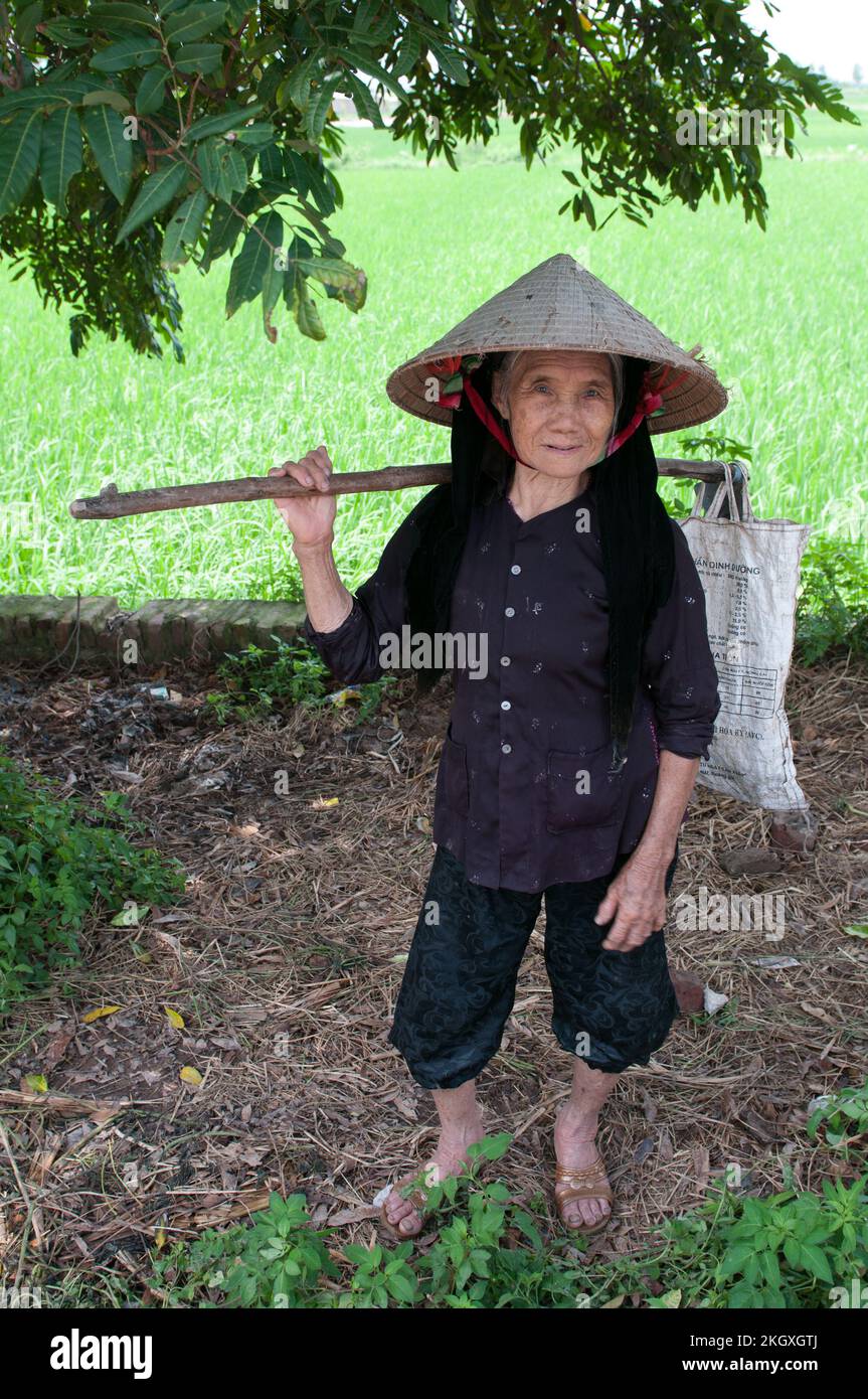 Nonna vietnamita anziana che indossa un cappello tradizionale nei campi di riso Foto Stock