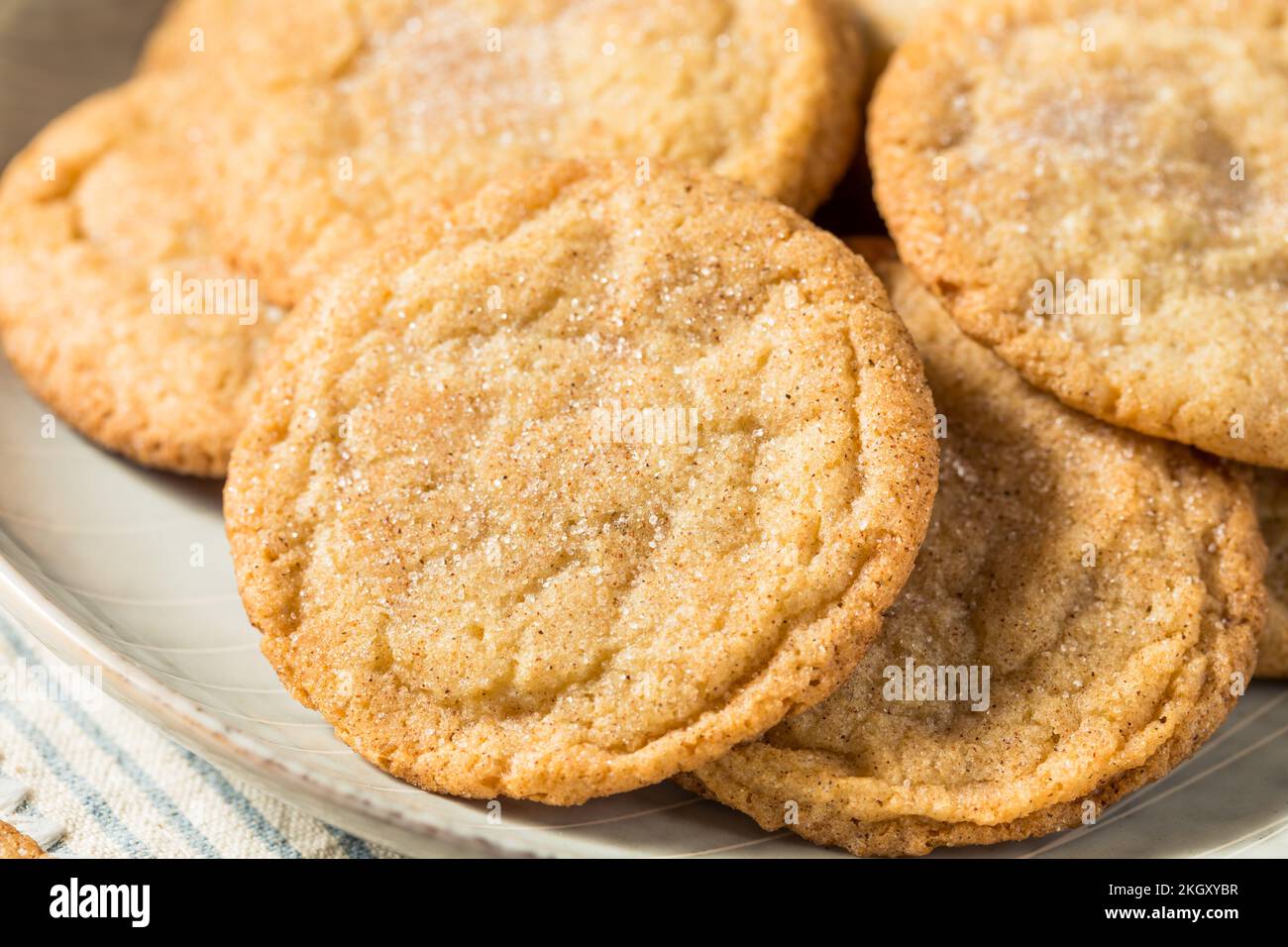 Biscotti di Snickerdoodle biologici fatti in casa su un piatto Foto Stock
