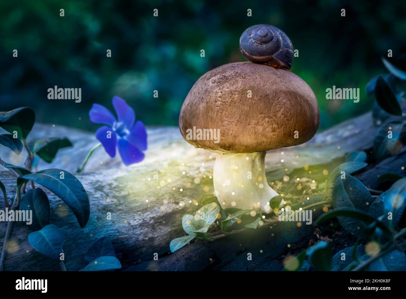 Fungo magico in una foresta mistica con fiori e lumaca. Fantasy sfondo foresta Foto Stock