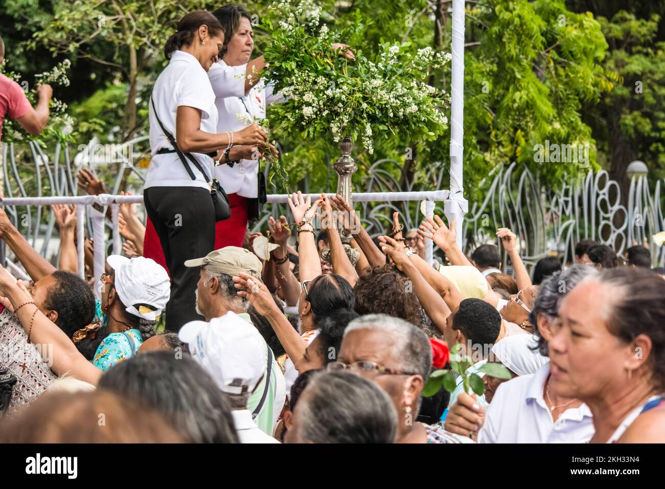Salvador, Bahia, Brasile - 26 maggio 2016: Gli adoratori cattolici cercano di raccogliere bouquet di fiori durante la celebrazione del Corpus Cristo nella città di SAL Foto Stock